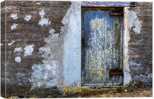 Old lichen covered door, Tenerife Canvas Print by Phil Crean