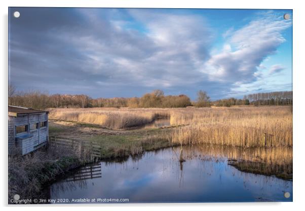 Sculthorpe Nature Reserve  Acrylic by Jim Key