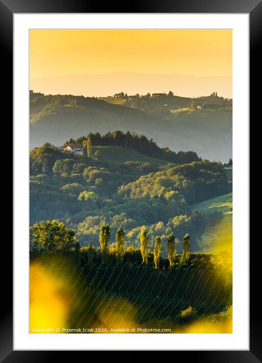 South styria vineyards landscape, near Gamlitz, Austria, Eckberg, Europe. Grape hills view from wine road in spring. Tourist destination, vertical photo Framed Mounted Print by Przemek Iciak