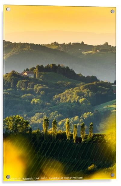 South styria vineyards landscape, near Gamlitz, Austria, Eckberg, Europe. Grape hills view from wine road in spring. Tourist destination, vertical photo Acrylic by Przemek Iciak