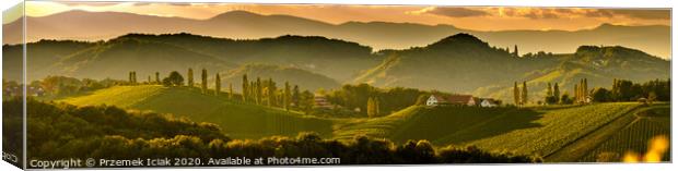 South styria vineyards landscape, near Gamlitz, Austria, Eckberg, Europe. Grape hills view from wine road in spring. Tourist destination, panorama Canvas Print by Przemek Iciak