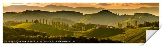 South styria vineyards landscape, near Gamlitz, Austria, Eckberg, Europe. Grape hills view from wine road in spring. Tourist destination, panorama Print by Przemek Iciak