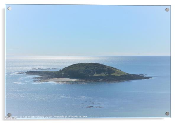 Looe Island In A Blue Hue. Acrylic by Neil Mottershead