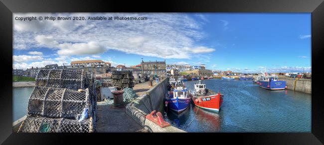 Fishing Boats at Seahouses Harbour - Panorama Framed Print by Philip Brown