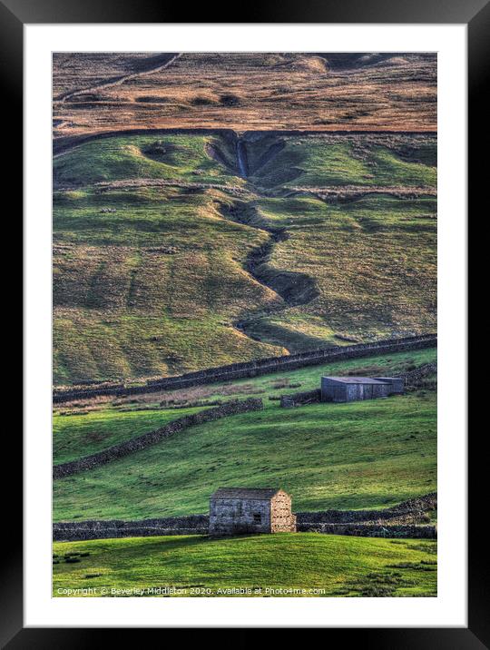 Swaledale barns in late afternoon light Framed Mounted Print by Beverley Middleton