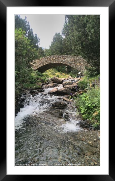 A bridge in nature Framed Mounted Print by James Brooks