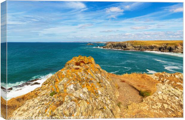 West Pentire View Canvas Print by CHRIS BARNARD