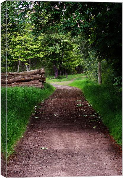 Country Path Canvas Print by Keith Thorburn EFIAP/b