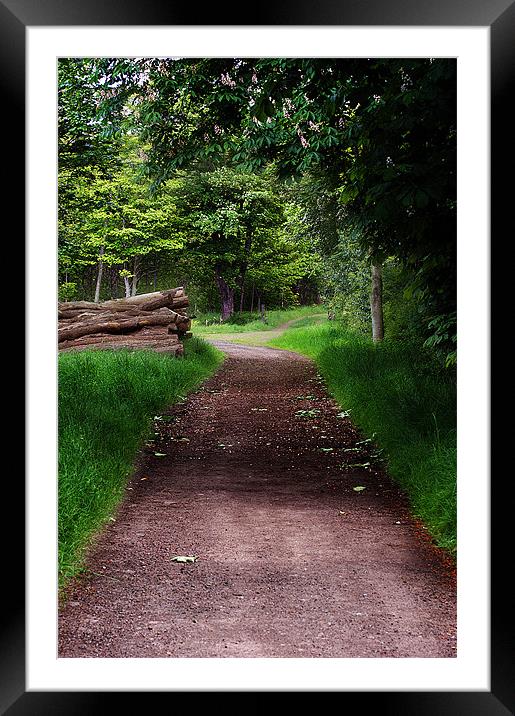 Country Path Framed Mounted Print by Keith Thorburn EFIAP/b