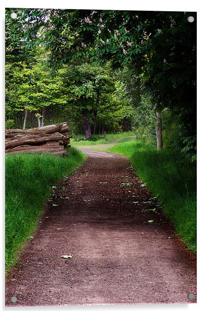 Country Path Acrylic by Keith Thorburn EFIAP/b