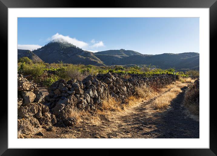 Rural path, Tenerife Framed Mounted Print by Phil Crean
