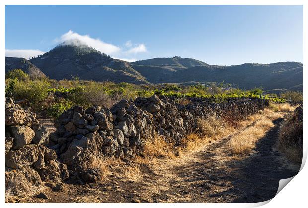 Rural path, Tenerife Print by Phil Crean