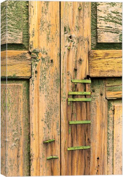 Old distressed door detail Tenerife Canvas Print by Phil Crean