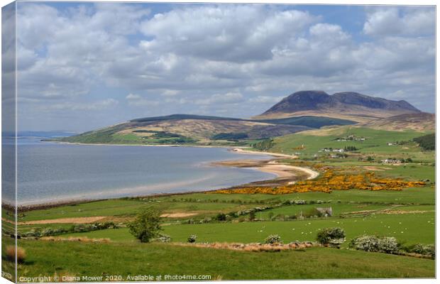 The Isle of Arran Springtime Canvas Print by Diana Mower