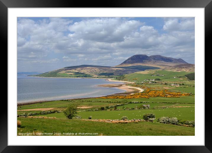 The Isle of Arran Springtime Framed Mounted Print by Diana Mower