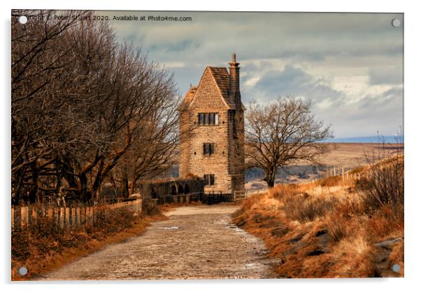 Rivington Pike and Winter Hill above Anglezarke Re Acrylic by Peter Stuart