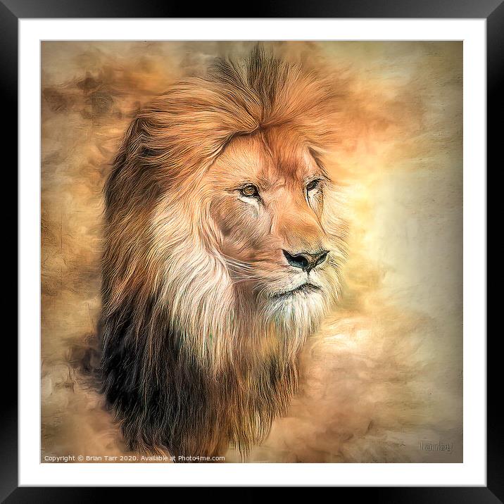 Majesty Framed Mounted Print by Brian Tarr
