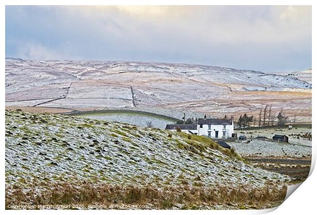 Teesdale Winter Landscapes Print by Martyn Arnold