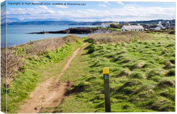 Anglesey Coast Path to Moelfre Canvas Print by Pearl Bucknall