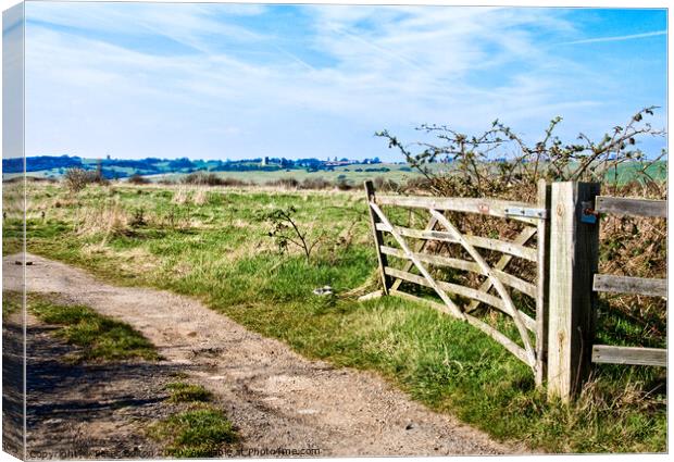 A view through a farm gate at Two Tree Island, with Hadleigh Castle on the horizon. Essex, UK.  Canvas Print by Peter Bolton