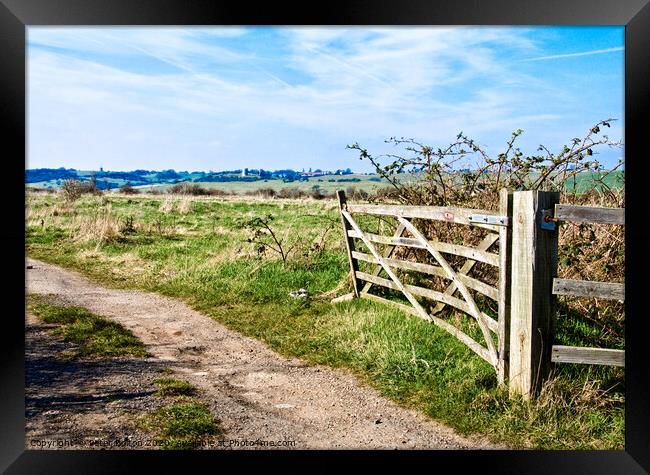 A view through a farm gate at Two Tree Island, with Hadleigh Castle on the horizon. Essex, UK.  Framed Print by Peter Bolton