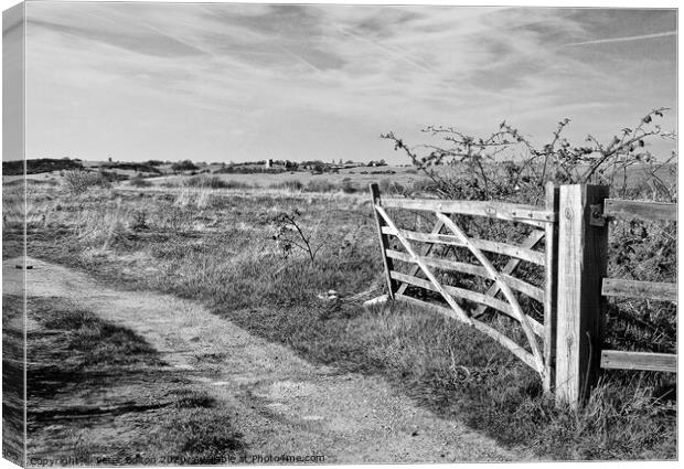 A view through a farm gate in black and white at Two Tree Island, with Hadleigh Castle on the horizon. Essex, UK.  Canvas Print by Peter Bolton