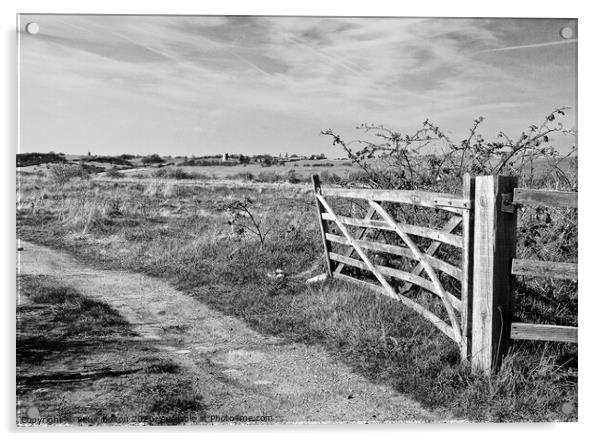 A view through a farm gate in black and white at Two Tree Island, with Hadleigh Castle on the horizon. Essex, UK.  Acrylic by Peter Bolton