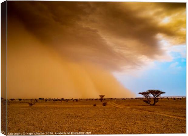 Approaching Sand Storm Canvas Print by Nigel Chester
