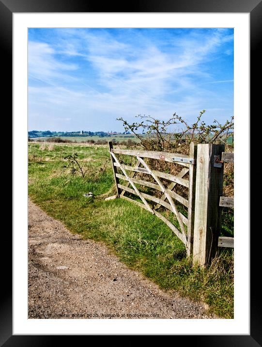 A view through a farm gate at Two Tree Island, with Hadleigh Castle on the horizon. Essex, UK.  Framed Mounted Print by Peter Bolton