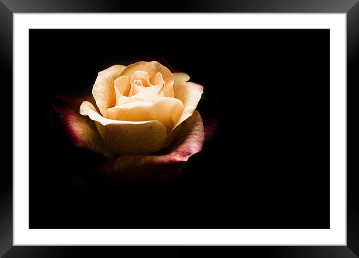 In the Dark Framed Mounted Print by Simon Wrigglesworth