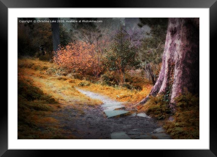 Autumn Walk Framed Mounted Print by Christine Lake