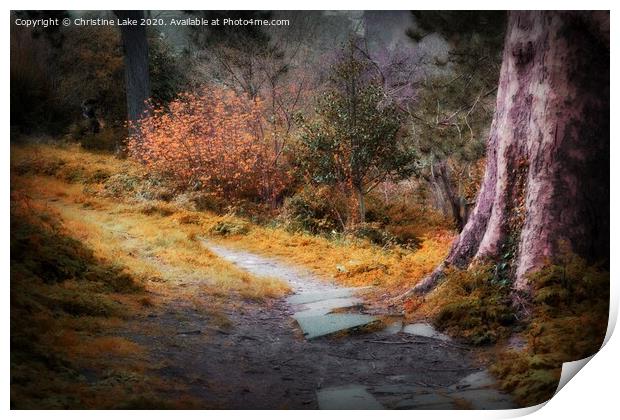 Autumn Walk Print by Christine Lake