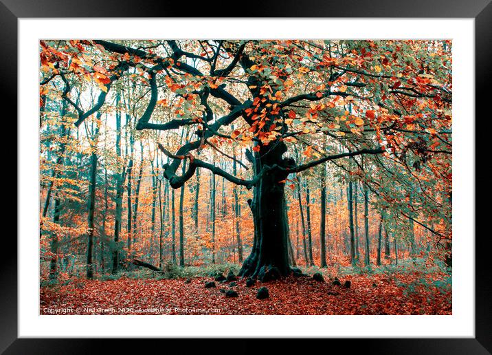 The Tree Line Framed Mounted Print by Neil James
