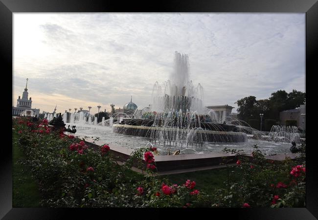 Beautiful stone flower fountain. Exhibition of national economy achievements, pavilions, fountains and a beautiful Park. Framed Print by Karina Osipova