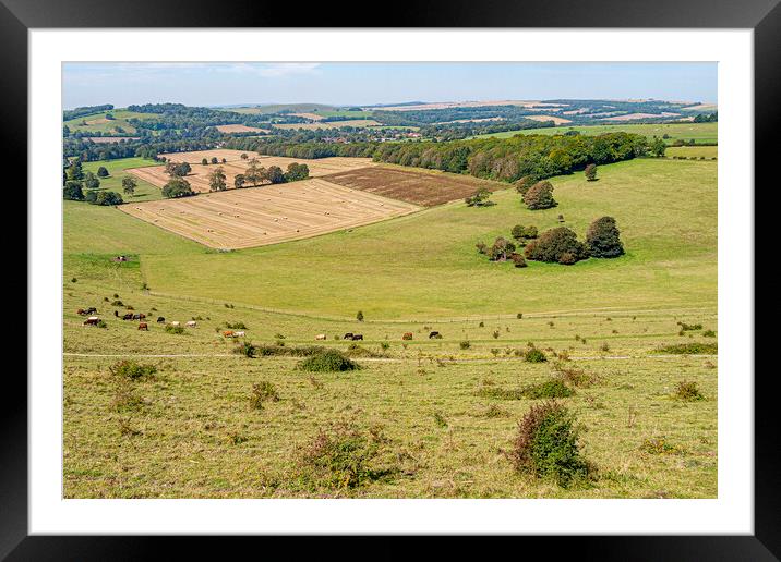 Cissbury Ring Rampart View Framed Mounted Print by Malcolm McHugh