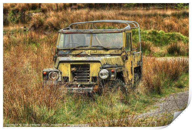 Abandoned Land Rover Print by Diana Mower