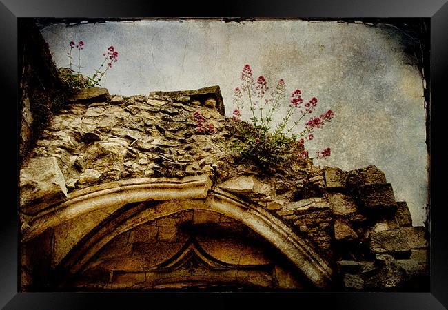 Arch Ruins Framed Print by Ann Garrett