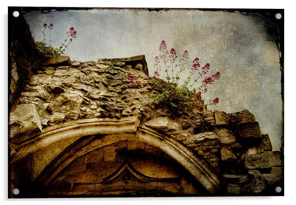 Arch Ruins Acrylic by Ann Garrett