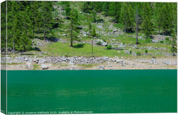 a suggestive green mountain lake  Canvas Print by susanna mattioda