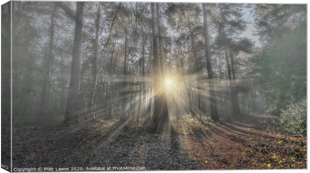 Where there's light...there's hope.  Canvas Print by Malc Lawes
