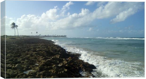 Beautiful seascape, nature of the Dominican Republic Canvas Print by Karina Osipova