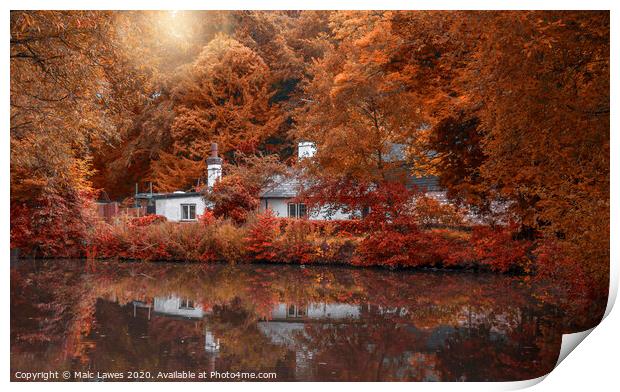 Autumn reflections  Print by Malc Lawes