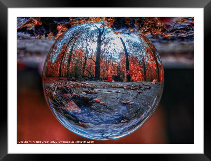 Red Treefraction Framed Mounted Print by Neil James