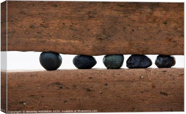 Seaside wood and pebbles a study at Spurn Point Canvas Print by Beverley Middleton