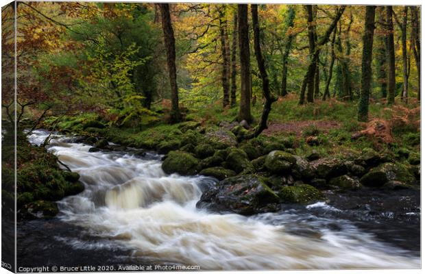 River Dart Rapids Canvas Print by Bruce Little