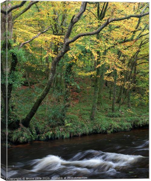 River Teign in Autumn Canvas Print by Bruce Little
