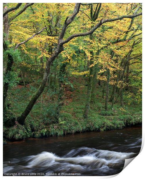 River Teign in Autumn Print by Bruce Little