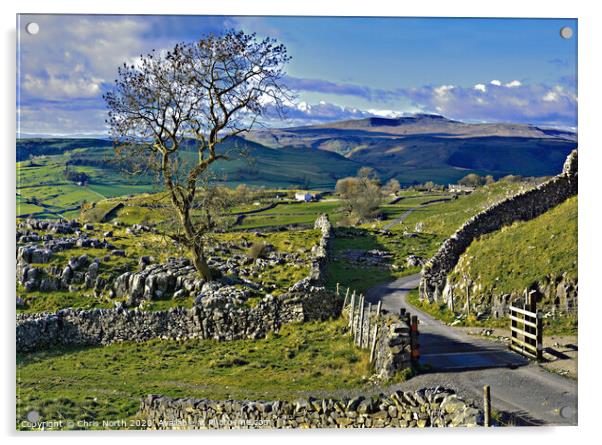 Winskill Stones above the village of Stainforth. Acrylic by Chris North