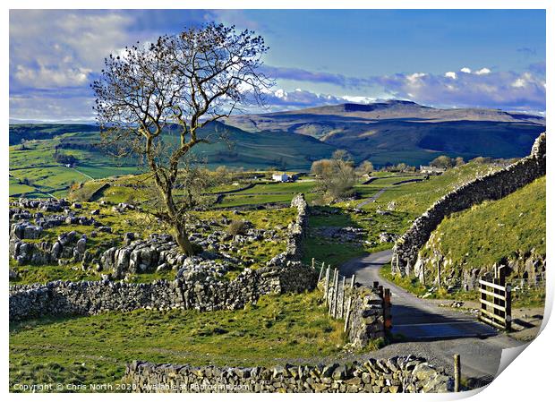 Winskill Stones above the village of Stainforth. Print by Chris North