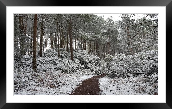 A snow covered forest Framed Mounted Print by Heidi de Wavrin